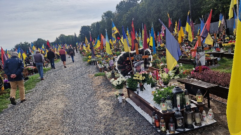 Field of flags for the fallen